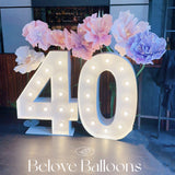 Melbourne party shop 40 years old birthday party decoration blove