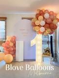 Melbourne 1 year old baby balloon garland decoration birthday party decoration blove