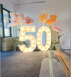 Melbourne balloon garland  birthday party decoration blove