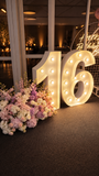 Birthday Balloons Party Decorations Melbourne | Pink & Gold Balloon Party