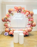 Melbourne balloon  garland decoration birthday party decoration in Blove Balloons blove
