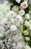 Omeo Flower Melbourne Wedding Flowers Decoration Designers with white and green Theme